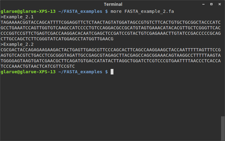 Small terminal window 2