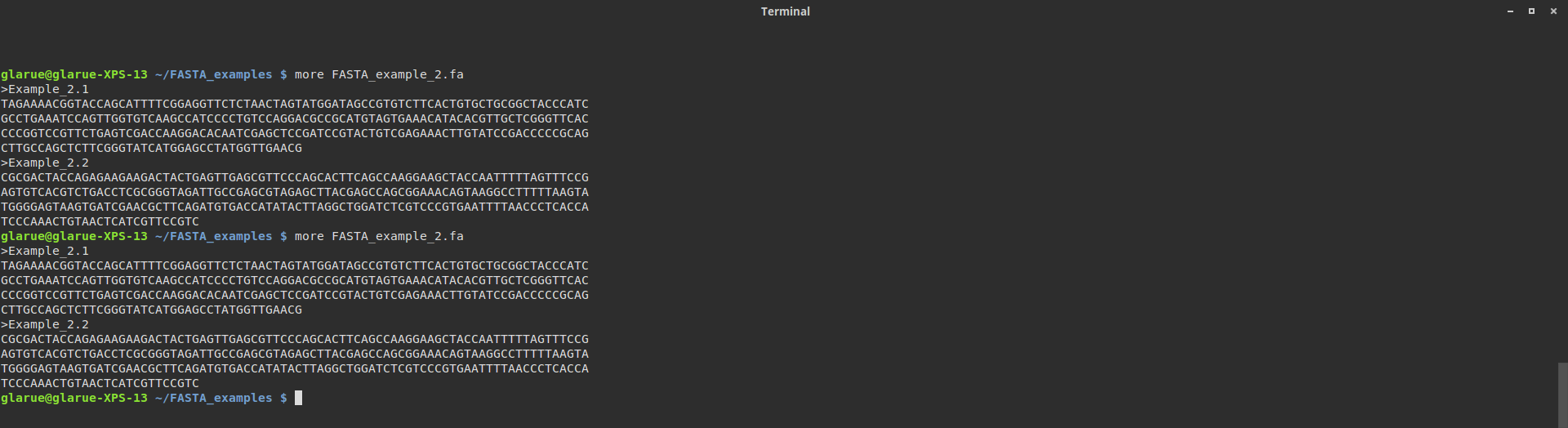 Wide terminal window 2